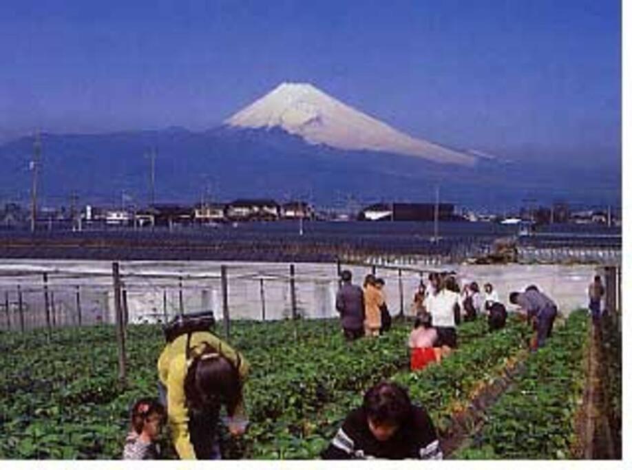 ゲストハウス+カフェわ　１日１組限定！ 築１００年の農家の古民家で宿泊体験、薪でお風呂沸かせます。焚き火もできます。 Kannami Luaran gambar